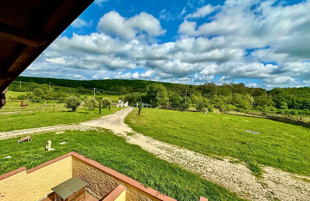 Villa Tuscia apartments-1